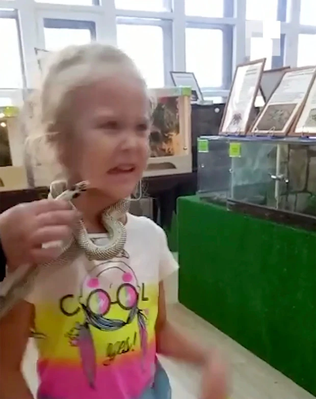 Rusya'da hayvanat bahçesinde kız çocuğunu yılan ısırdı: O anlar kamerada